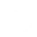 Logo de Polytech Services Nancy